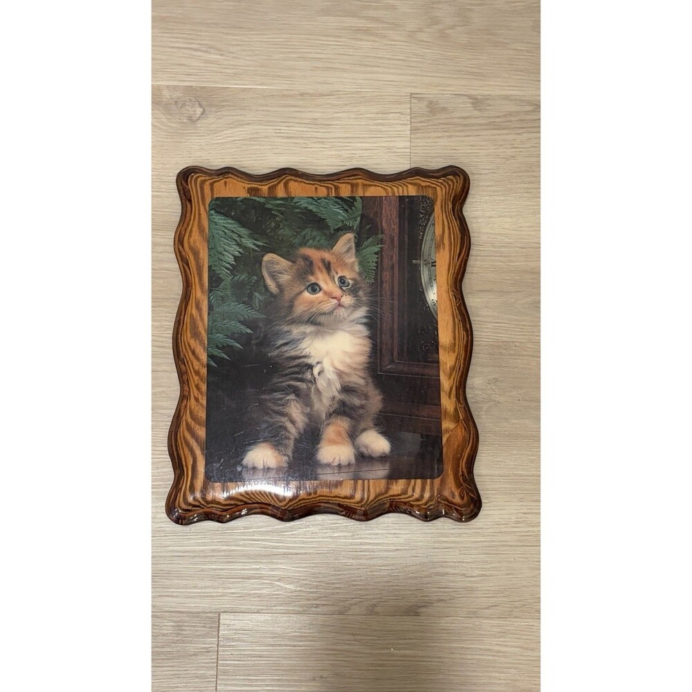 Vintage Wall Hanging Calico Kitten Cat Lacquered Decoupage Wood 9x11”